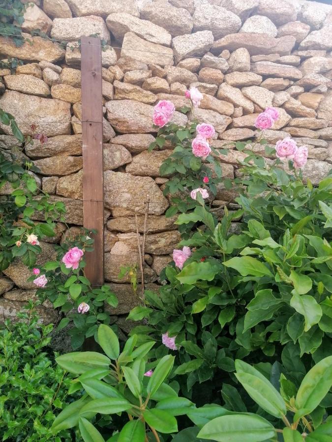 Rosas Da Granja - Casa De Campo Buitenkant foto