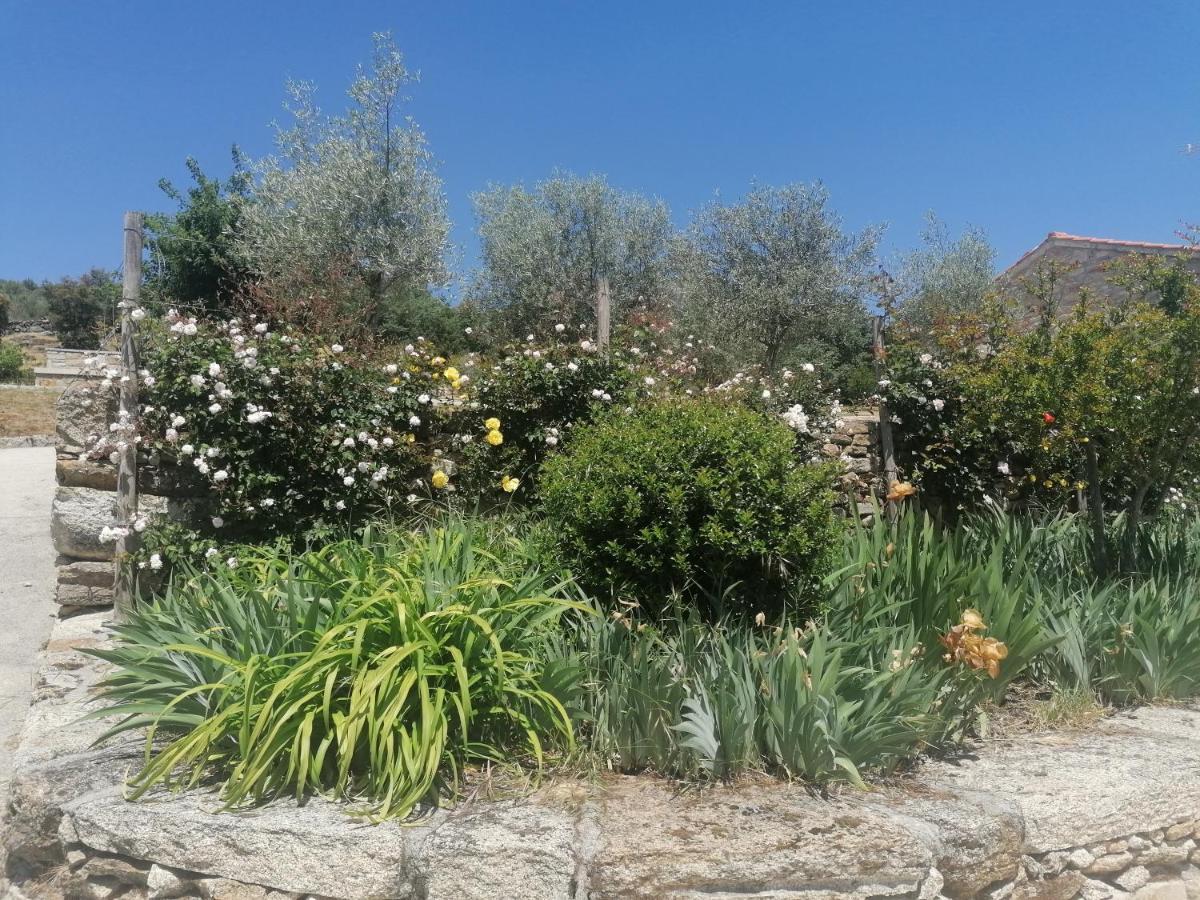 Rosas Da Granja - Casa De Campo Buitenkant foto